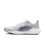 کفش رانینگ Nike Pegasus 41
