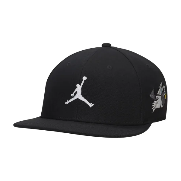 Jordan Pro Cap FD5183-010