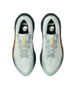 ASICS Novablast 5 TR 1011C138-300