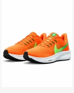 Nike Pegasus 39 DH4072-800