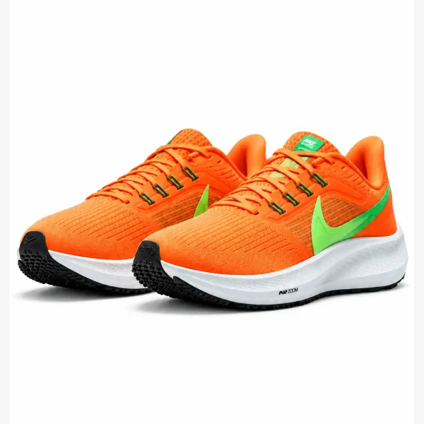 Nike Pegasus 39 DH4072-800
