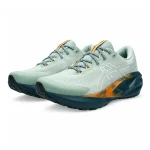 ASICS Novablast 5 TR 1011C138-300
