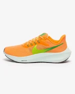 Nike Pegasus 39 DH4072-800